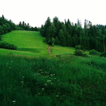 Domek W Gorach Pod Rysianka Zlatna Zewnętrze zdjęcie