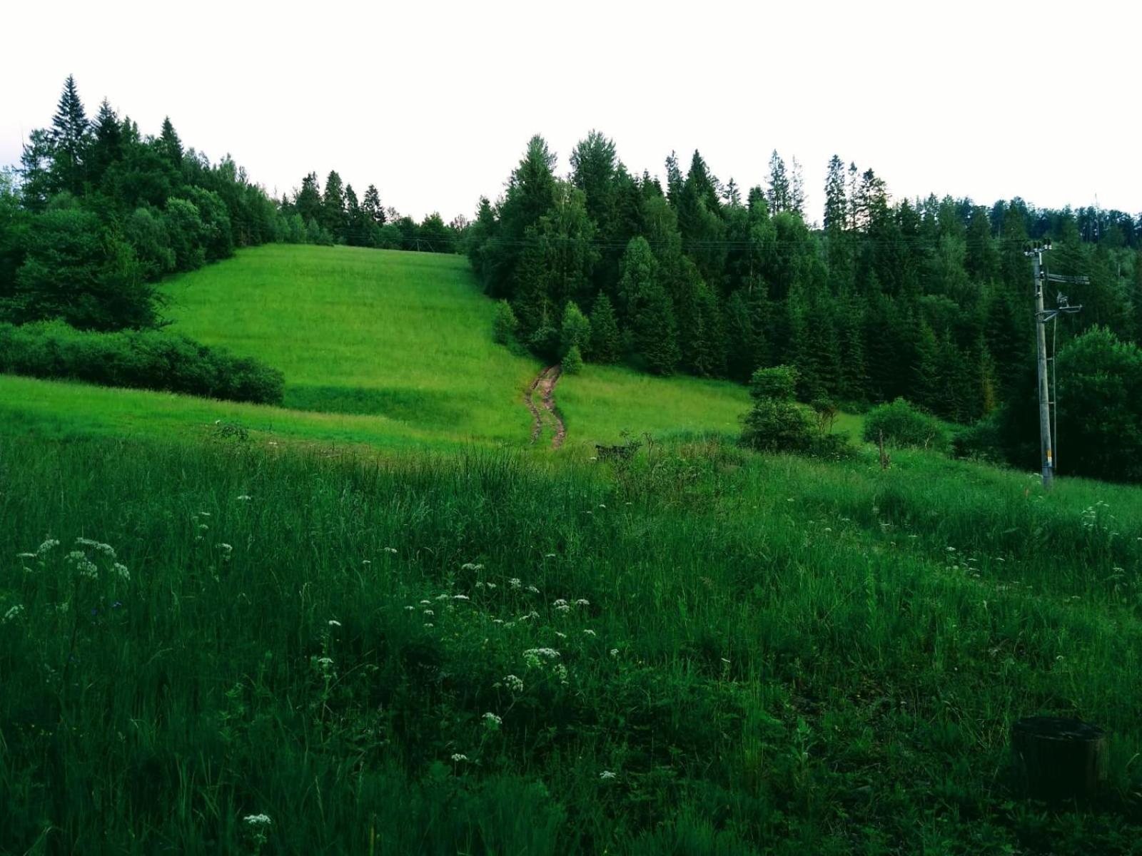 Domek W Gorach Pod Rysianka Zlatna Zewnętrze zdjęcie