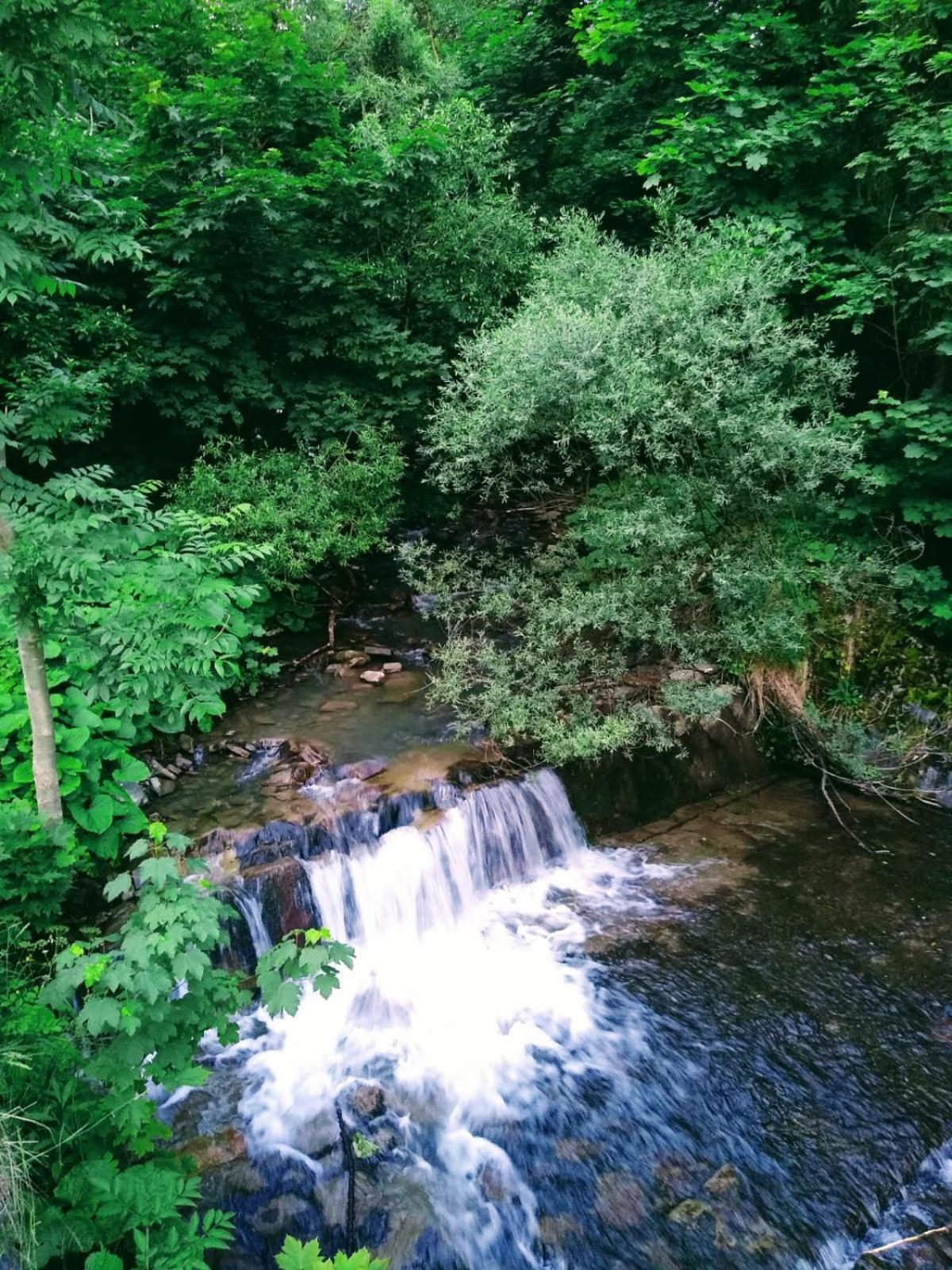 Domek W Gorach Pod Rysianka Zlatna Zewnętrze zdjęcie